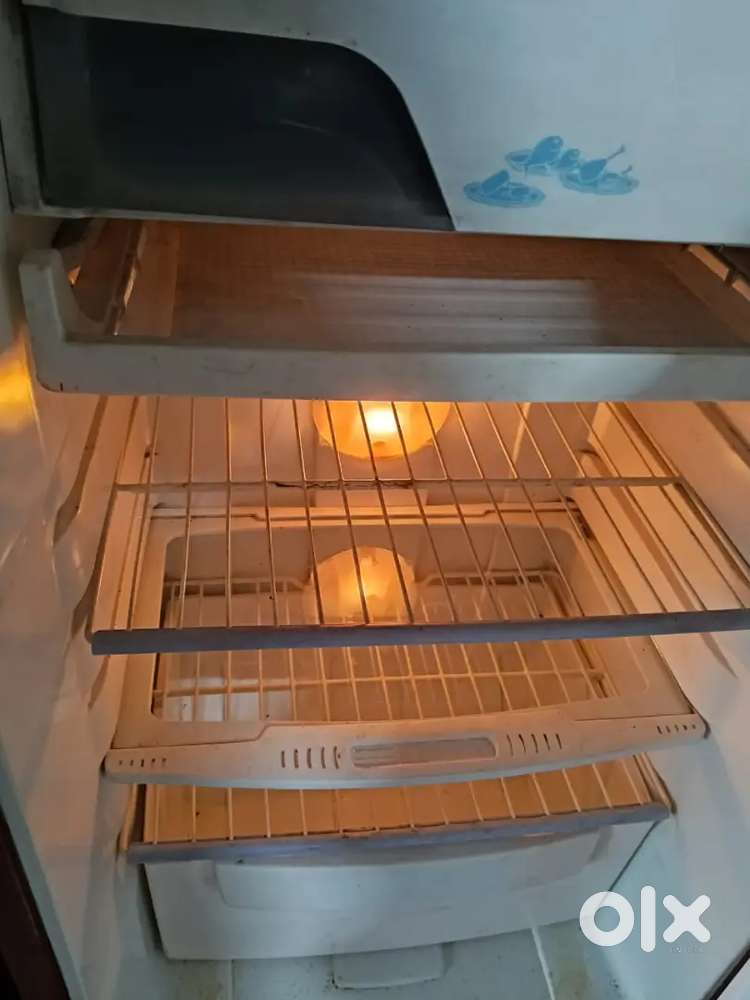 sigal dor Godrej fridge