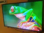 50 inch tv