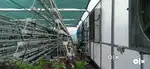 Polyhouse structure and 8000+ head capacity hydroponics setup