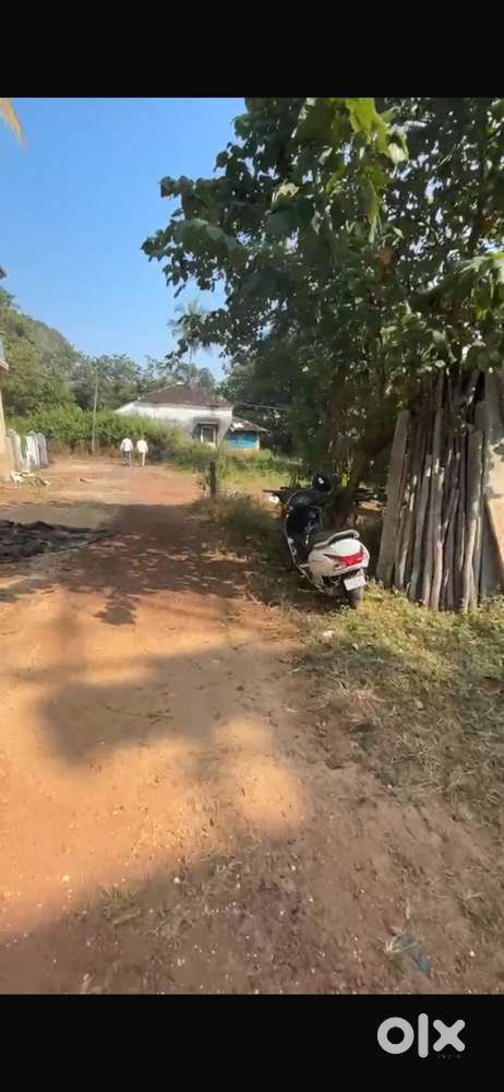 Thivim prime property NA plot 305sqmtr 27k/sqmtr asking