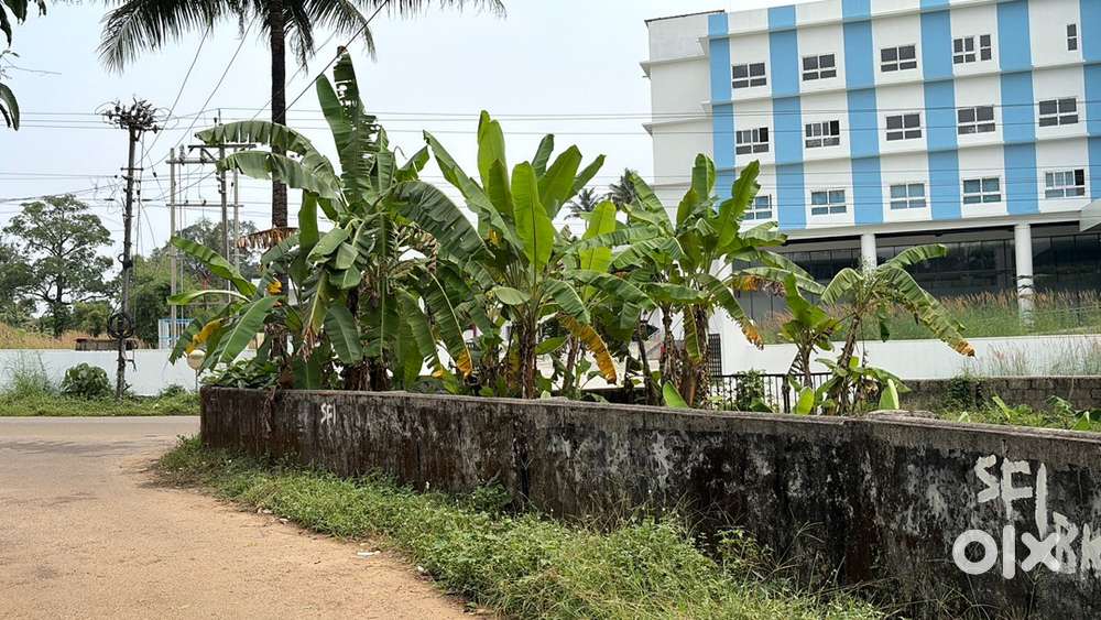 Kothamangalam Chelad