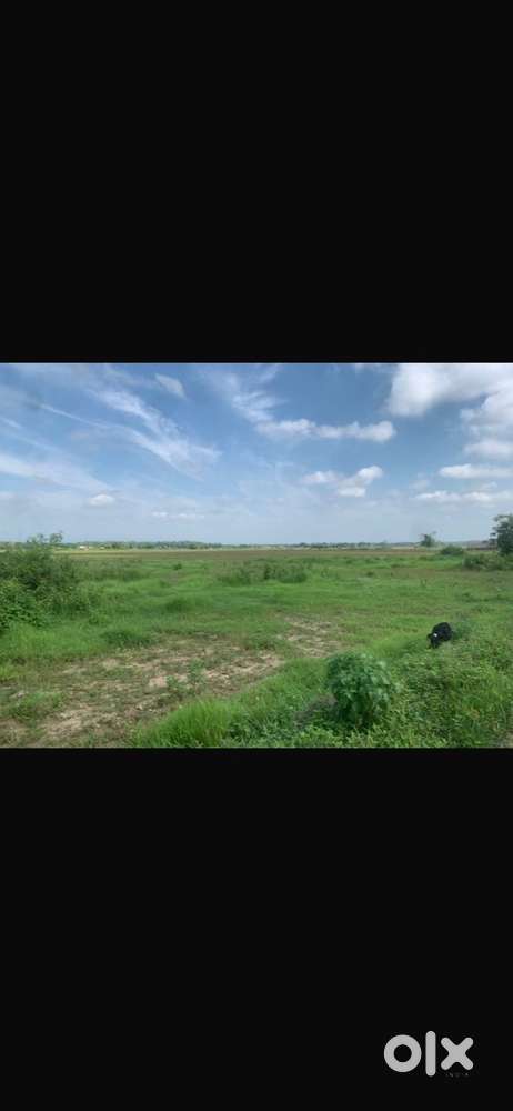 135 per sq.ft Great plot, negotiable