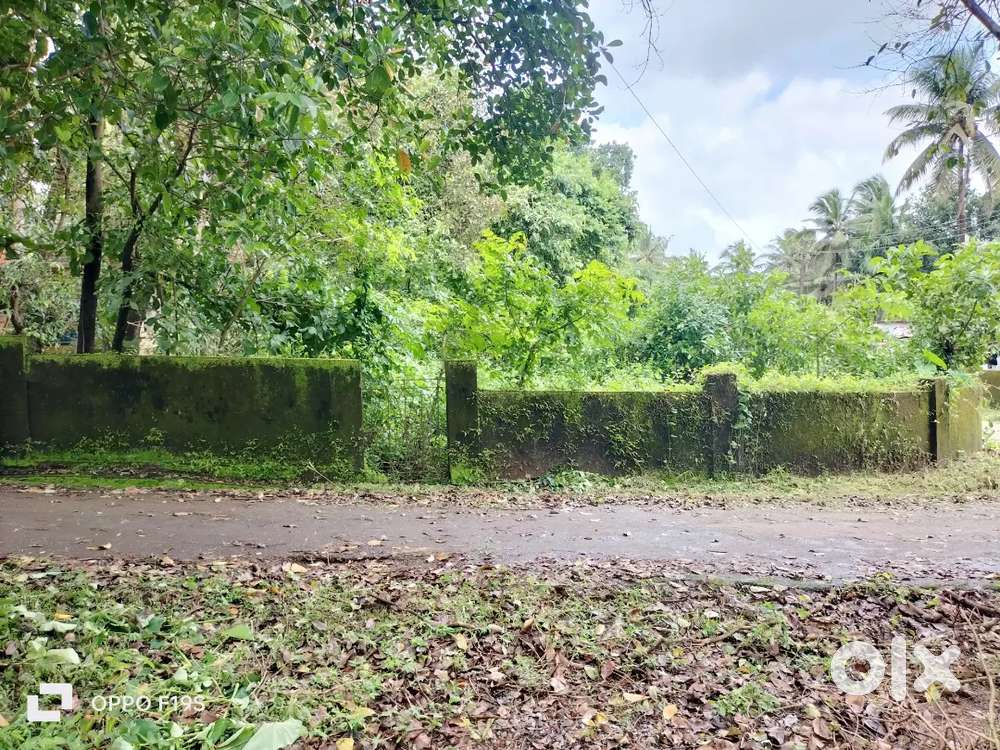 Land Plot for sale in thivim sirsai Goa