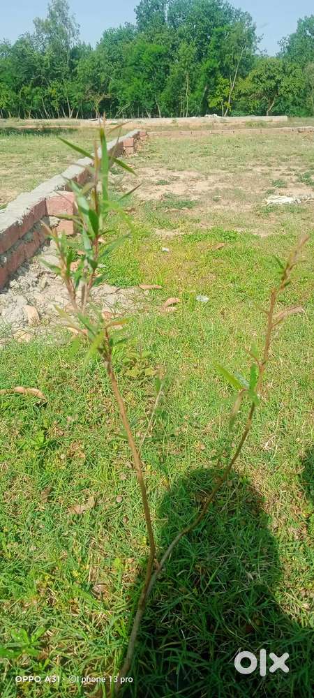 With 30 feet road and 300 mtr. From main road