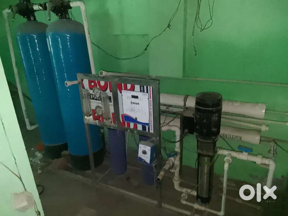 Water aro plant