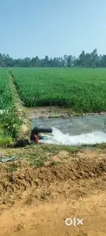 Agriculture land