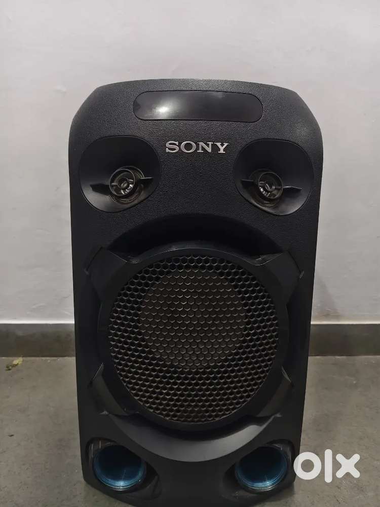 Party speaker