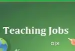 Online/offline Teaching staff available for all classes and degree