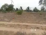 Land for sale (1000)sq total Valuable investment