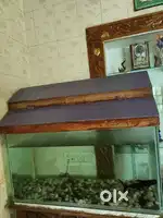 fish tank with full set