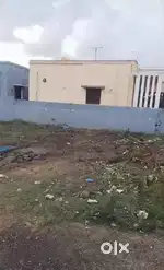 1000sqft residential plot kattakulathur