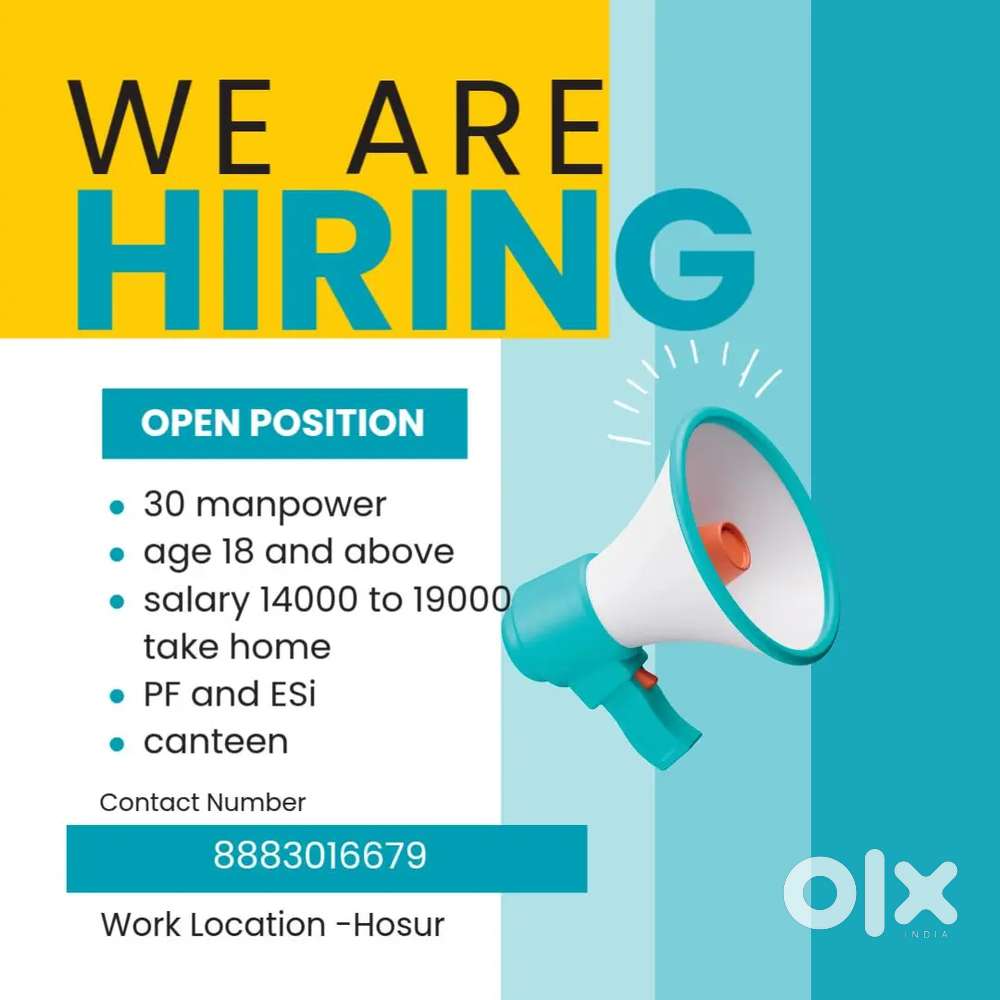 Operating Engineer/ assistant