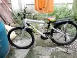 Brand new bicycle one day use