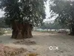 4 katha for sale