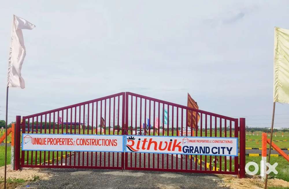 50 / 50 offer and gold coin offers new lanch site