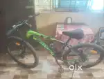 Roadeo bicycle