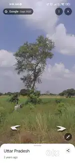 Agriculture land