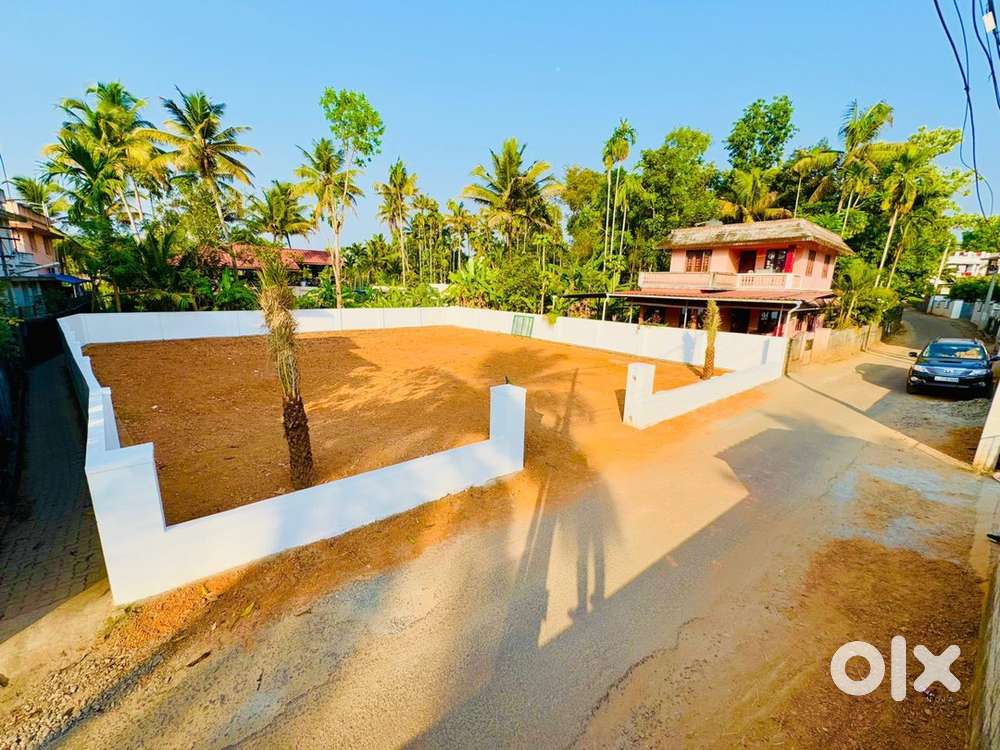 12 CENT NEAR VIDYODAYA SCHOOL THEVAKKAL KALAMASSERY KAKKANAD