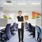 OFFICE BOY