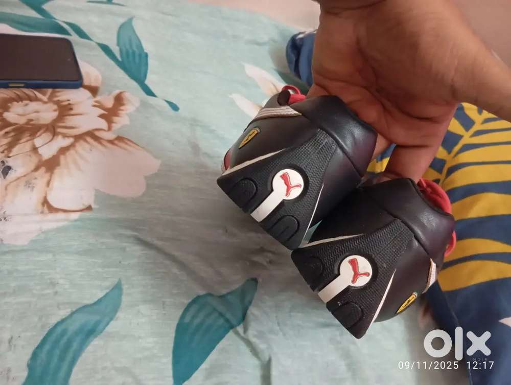 Puma ferrari future cat shoe