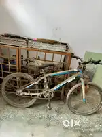 Latest cycle