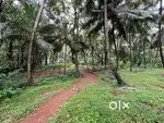 36 cent cent for sale in chelari- 400m from highway