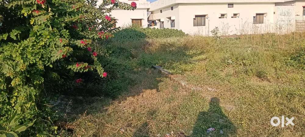 Plot for sale in shivalk school