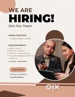 SALES EXECUTIVE