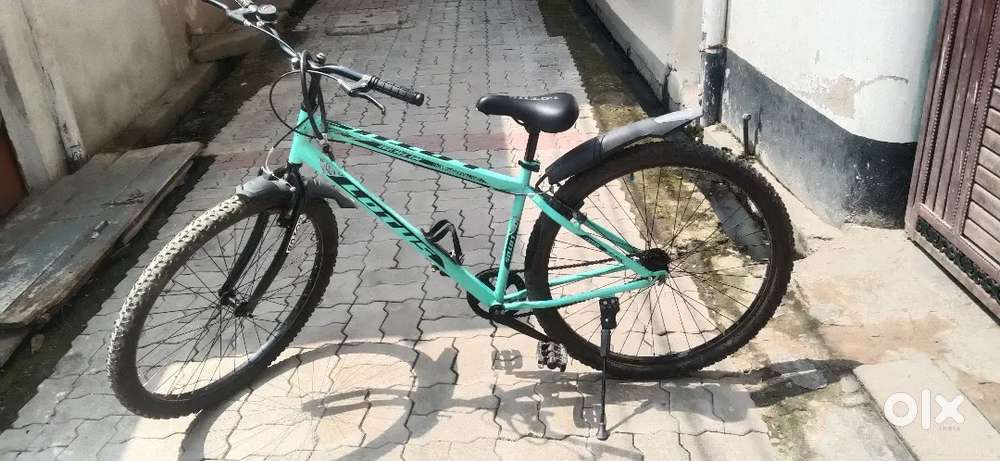 Lotus cycle (Parrot Green)