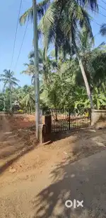 10 cent plot for sale