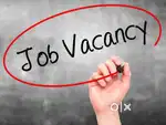 Audit Assistant for CA Firm