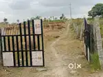 2 acre 20 gutas  east facing