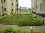 3 bhk flat for rent