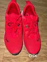 Puma Shoes Size 7 colour Red