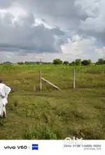 For Sale agriculture land