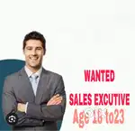 Freelancer sales executive only incentive boys only
