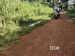 Thrissur chittilappilly 12.50 cent plot for sale per cent 3.50 lakh