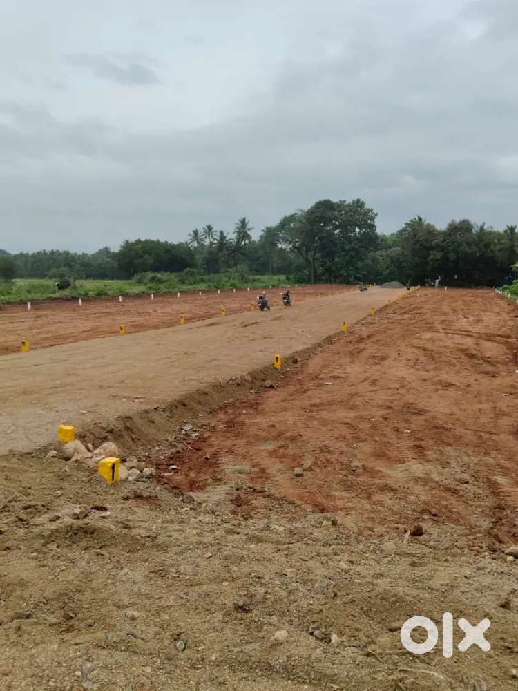 Low Budget DTCP plots for sale at Pallikonda Vettuvanam