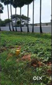 4 Cent Land for Sale in Othakalmandapam-Just 100m from Pollachi Road