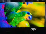 Gaming Monitor