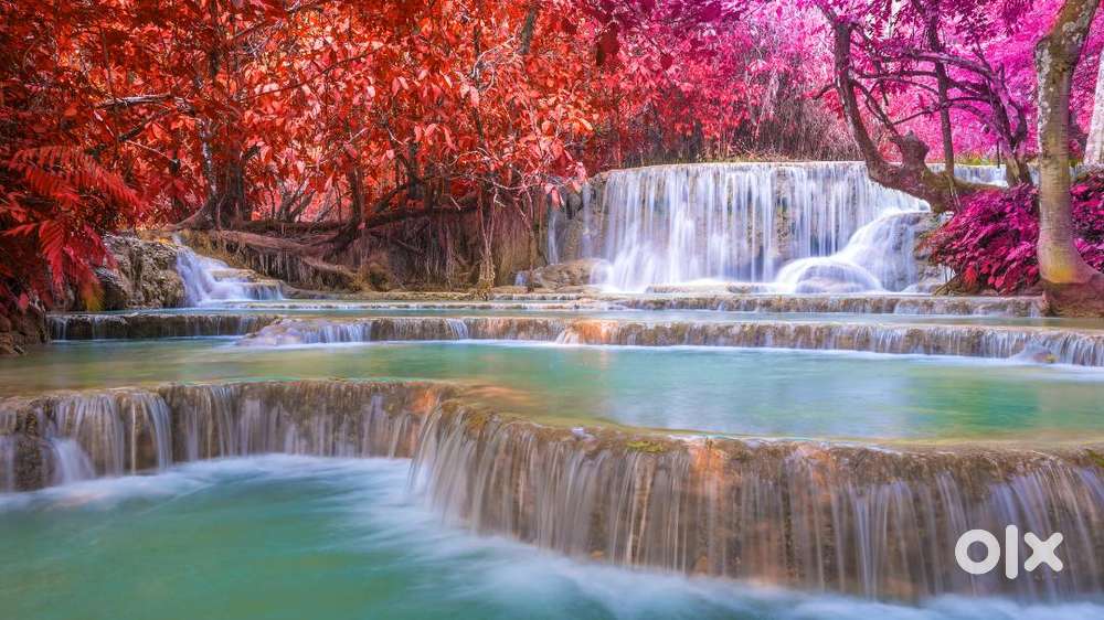 MEDICAL SALES REPRESENTATIVE