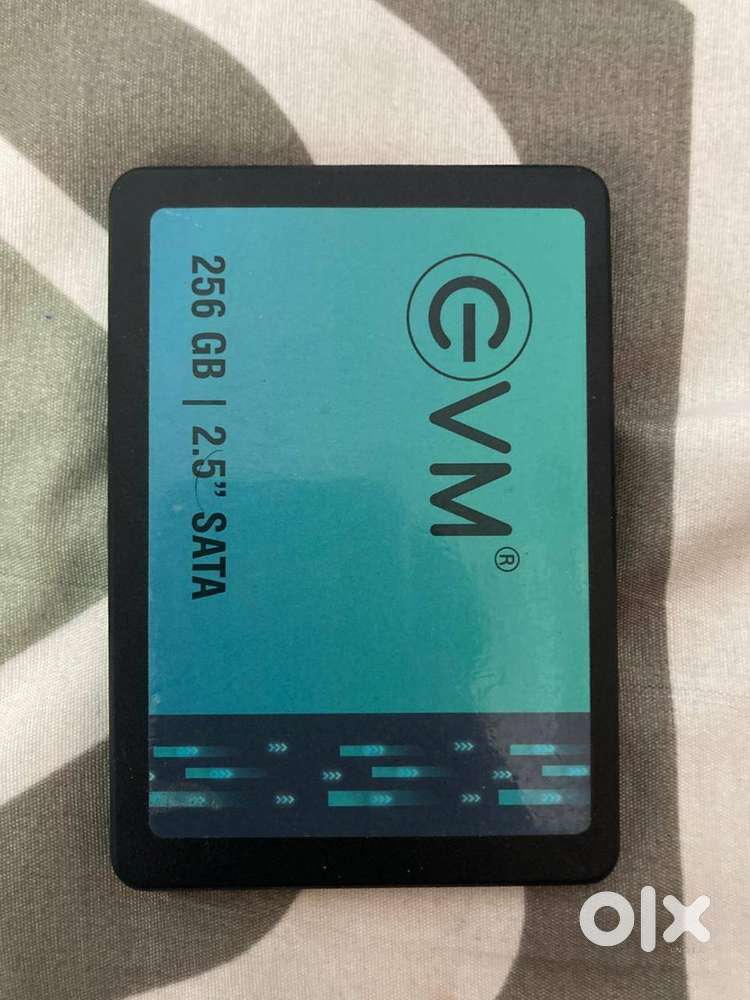 EVM 256Gb SSD