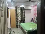 Need roommate