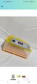 Egg incubator
