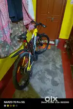 Damn Good Condition cycle