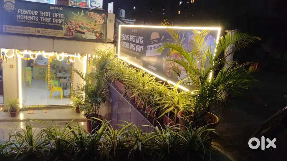 cafe cook, pizza, burger sandwich coffee