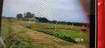Land of Sale