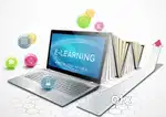 Marketing Executive