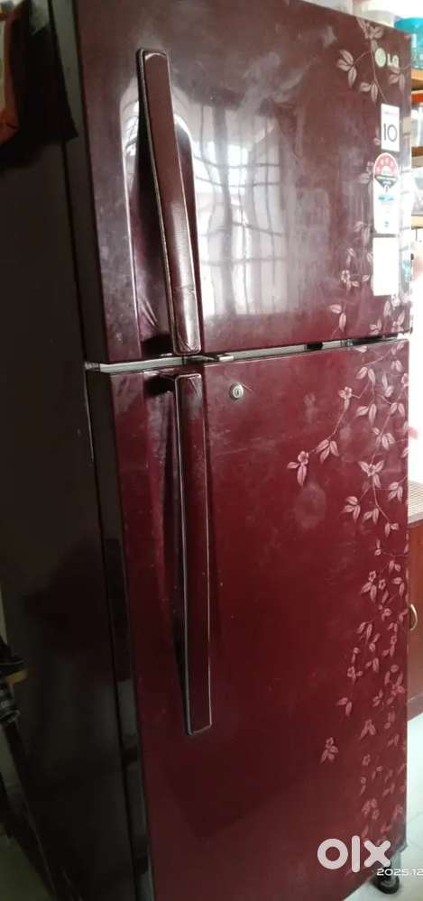 LG Double door Fridge