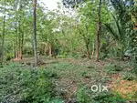 15 cent plot for sale #House plot